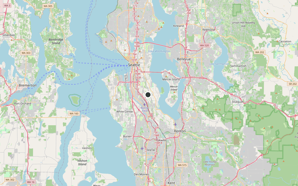Chimney service area map for South Seattle, WA, from Beacon Hill and Georgetown to Seward Park and Rainier Beach